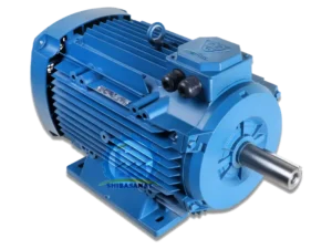 الکتروموتور سه فاز چدنی 100اسب 75کیلووات 900دور