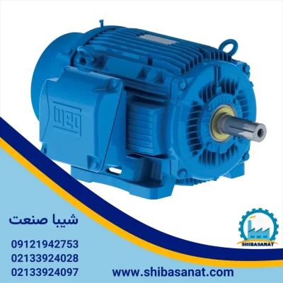 الکتروموتور وگ