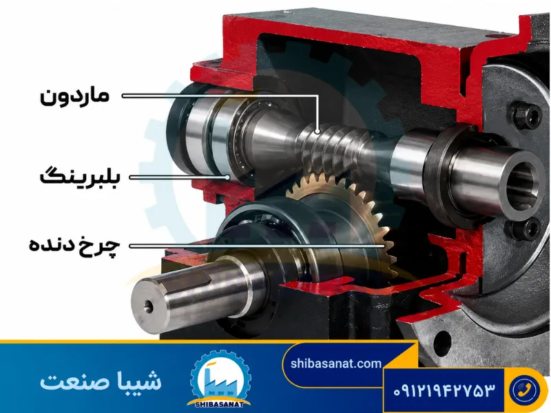 اجزای داخلی گیربکس حلزونی